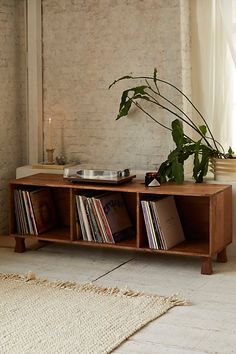 a wooden entertainment center with vinyl records on it and a potted plant in the corner