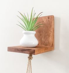 a potted plant sitting on top of a wooden shelf