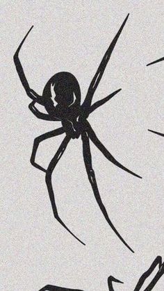 a black and white drawing of a spider