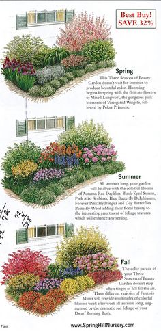 the different types of flowers are shown in this diagram