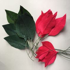 three red flowers with green leaves on a white surface