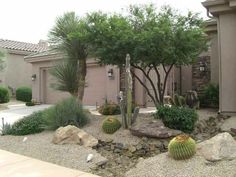 a cactus garden in front of a house with rocks and cacti on the ground