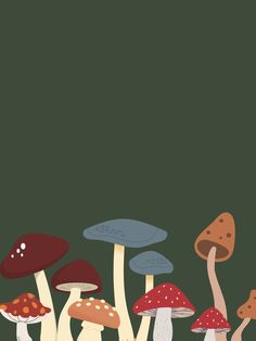 a group of mushrooms sitting on top of a green field