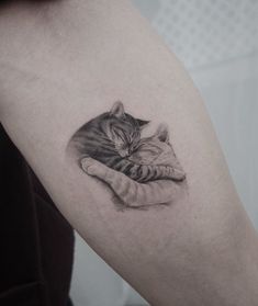 a black and white photo of a cat sleeping on someone's arm