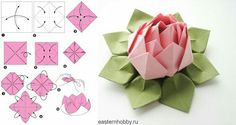 how to make an origami lotus flower