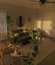 a living room filled with furniture and lots of plants on top of a carpeted floor