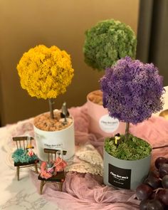 three potted trees sitting on top of a table next to grapes and other plants