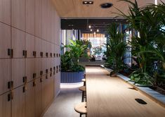 a long wooden table with several plants in the center and two stools on either side