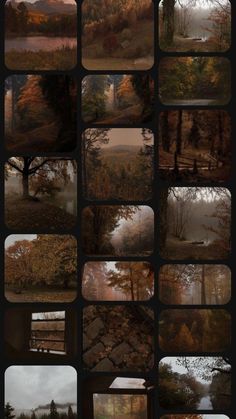 many different images of trees and water in the woods, all with their leaves on them