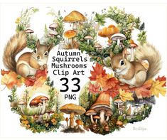 the autumn squirrel's mushrooms clip art is shown in an image with leaves and mushrooms