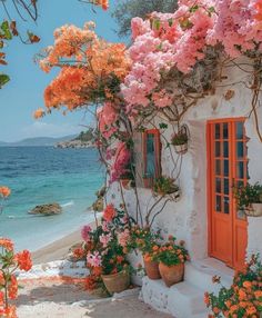 an orange door is on the side of a white building with flowers and potted plants