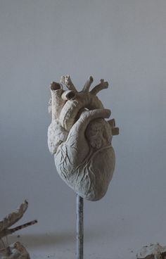 a sculpture of a human heart on a stick