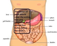 Uses Of Castor Oil, Self Management, Health Zone, Ayurveda Life