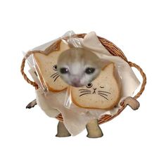 an animal in a basket with bread on it's back and its face peeking out