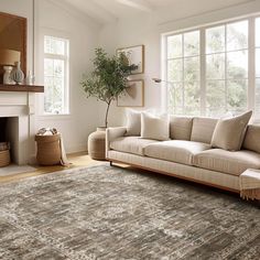 a living room filled with furniture and a large rug on top of a hard wood floor