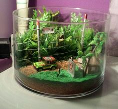 a glass bowl filled with plants on top of a table