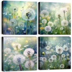 three pictures of dandelions in the grass