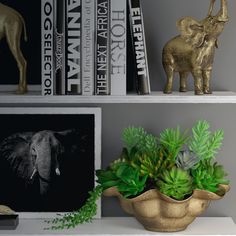 some books and plants are sitting on the bookcases in front of an elephant figurine