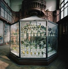 a glass display case filled with lots of birds inside of a museum like setting in an old building