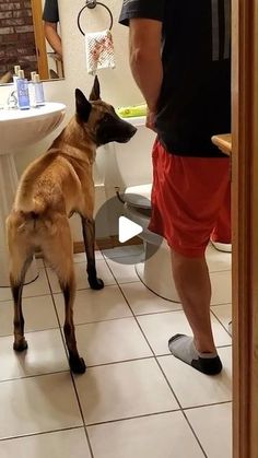 a man standing next to a dog in a bathroom