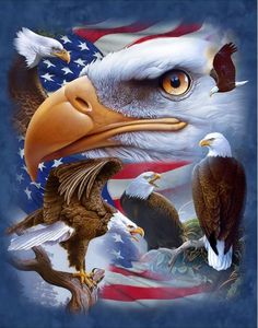 an eagle with the american flag on it's back and two bald eagles in front