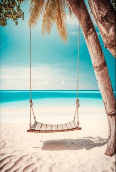 a hammock hanging from a palm tree on the beach