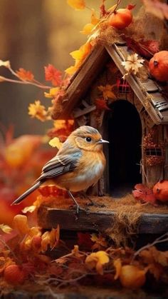 a bird is sitting on top of a birdhouse with autumn leaves around it and pumpkins in the background