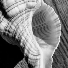 an empty plate sitting on top of a wooden table next to a piece of wood