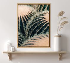 a white vase sitting on top of a wooden shelf next to a wall mounted plant