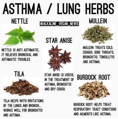 Lungs Health, Home Health Remedies, Herbs For Health, Healing Food, Natural Health Remedies