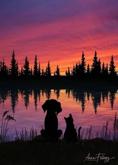 two dogs sitting in front of a lake at sunset