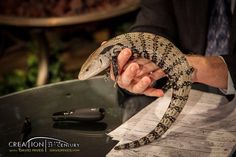 a lizard being held by a man in a suit and tie at a table with notes on it