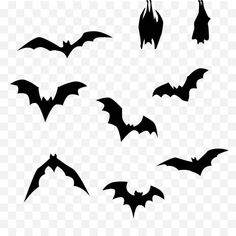 black and white silhouettes of bats flying in the sky, transparent background png