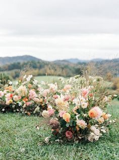 a bunch of flowers that are sitting in the grass near each other on some grass