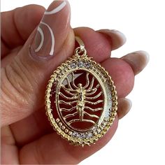 Centipede Bug Gold Plated Pendant With Cubic Zirconia Stones Comes In A Beautiful Jewelry Box Item#Taban-1. Rosary, Womens Jewelry Necklace, Beautiful Jewelry, Jewelry Box, Cubic Zirconia, Gold Plate, Jewelry Necklaces, Plating, Necklaces