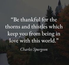 a quote from charles spurson about be grateful for the thorns and thistles which keep you from being in love with this world