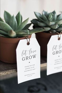 three succulents with tags on them sitting next to each other in pots