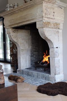 a fireplace with a fire burning in it's mantle next to a dog laying on the floor