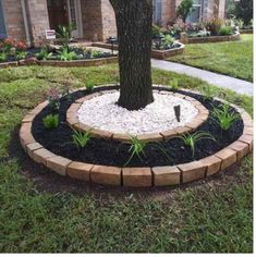 a tree that is sitting in the middle of a yard