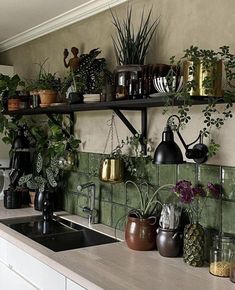 a kitchen counter with pots and plants on the shelves above it, next to a sink