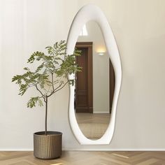 a potted plant sitting in front of a mirror on the wall next to a vase