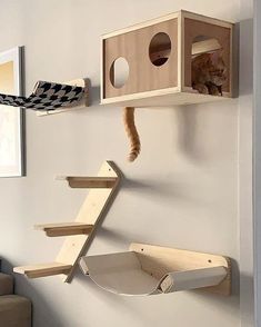 a cat tree is hanging on the wall