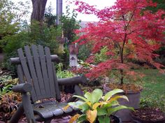 a wooden chair sitting in the middle of a garden