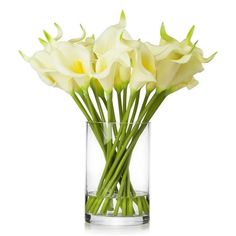 white flowers in a glass vase on a white background