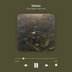 the cover art for daisies, featuring an image of a forest with trees and leaves