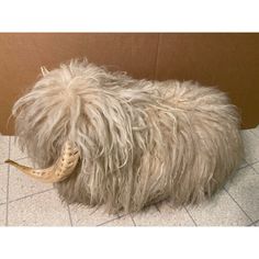 an animal that is laying down on the floor with long hair and horns in it's mouth