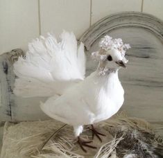 a white bird standing on top of a pile of hay