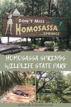 a sign that says, don't miss homossa springs wildlife state park with photos of