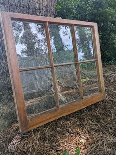 an old window sitting on the ground next to a tree