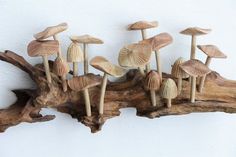 a group of mushrooms sitting on top of a piece of driftwood next to a white wall